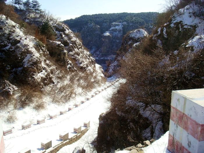 neo_img_dsc08178.jpg