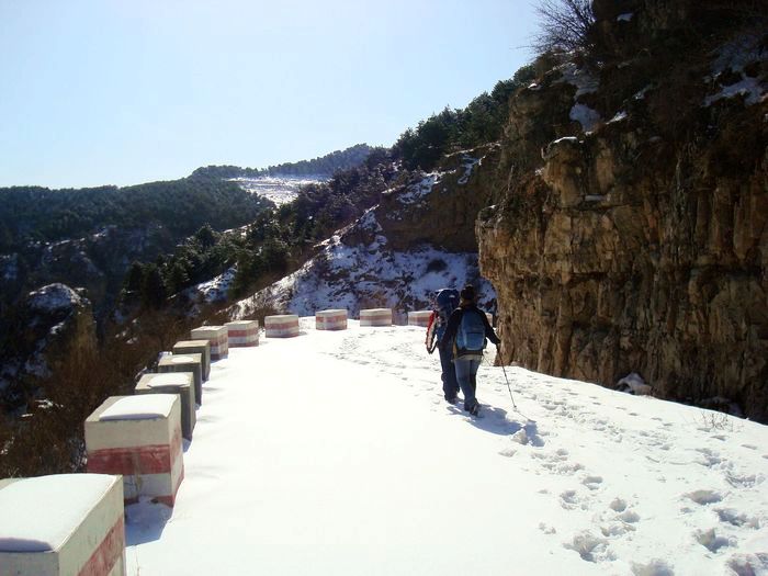 neo_img_dsc08175.jpg