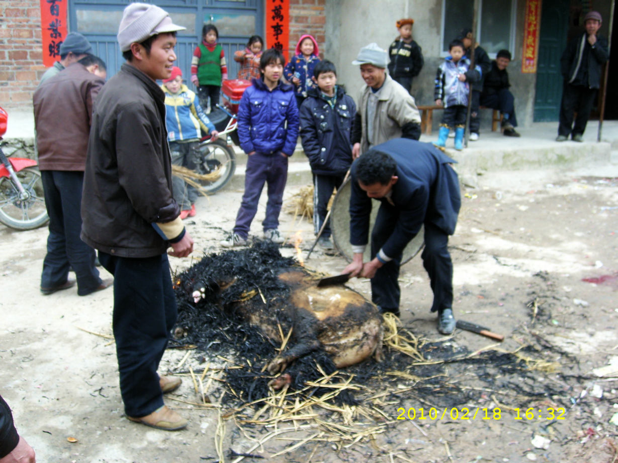 sl272329.jpg