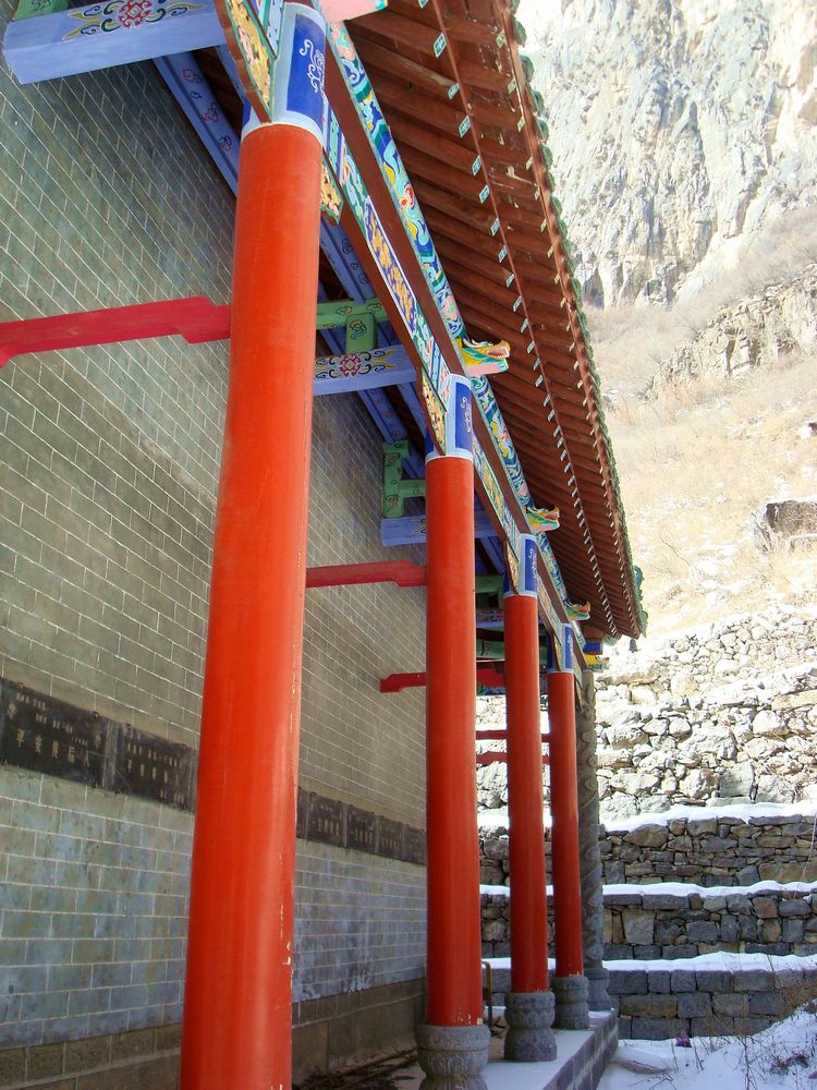 neo_img_dsc08451.jpg