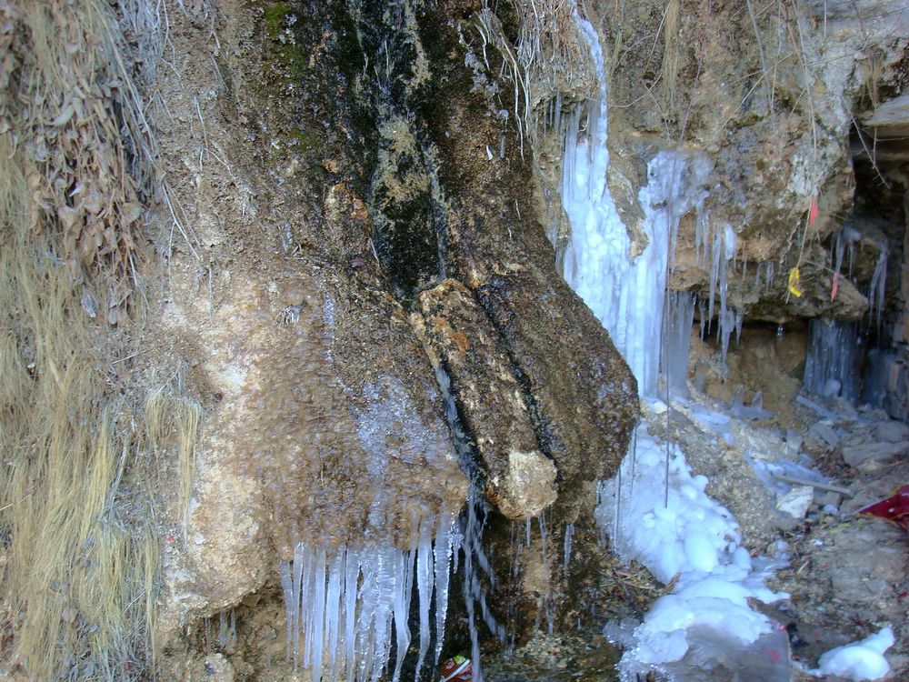 neo_img_dsc08367.jpg