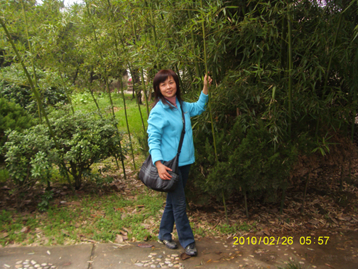s73f0993.jpg