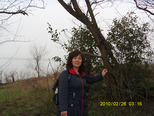 s73f0963.jpg