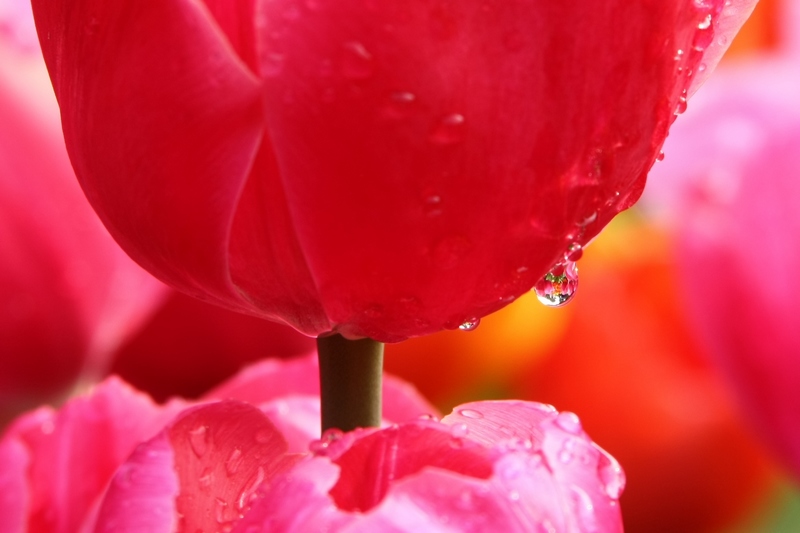 neo_img_img_2378.jpg