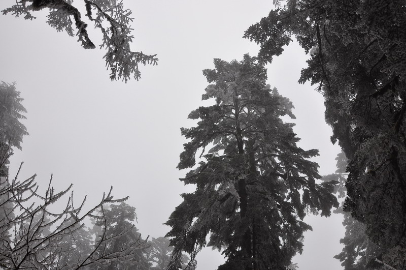 dsc_0090.jpg
