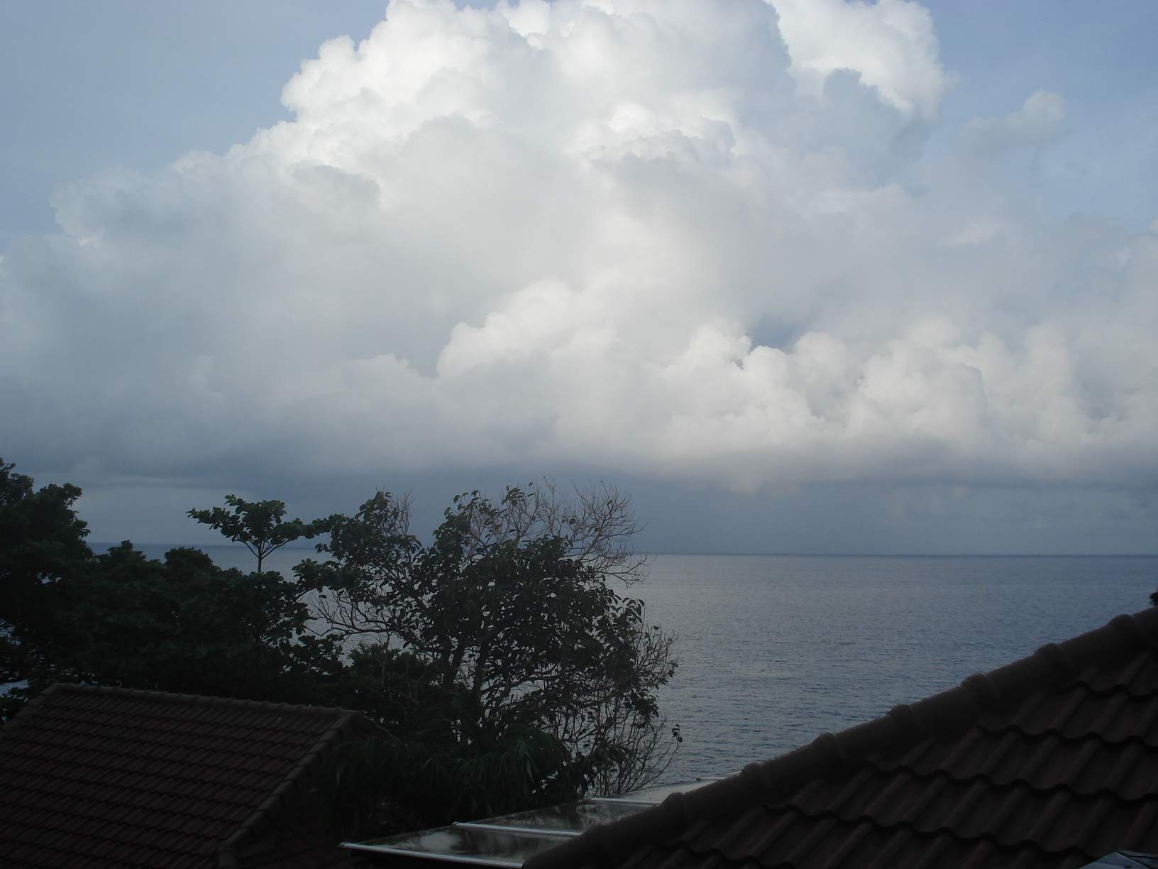 dsc09415.jpg