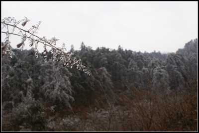 2002131509344336729.jpg