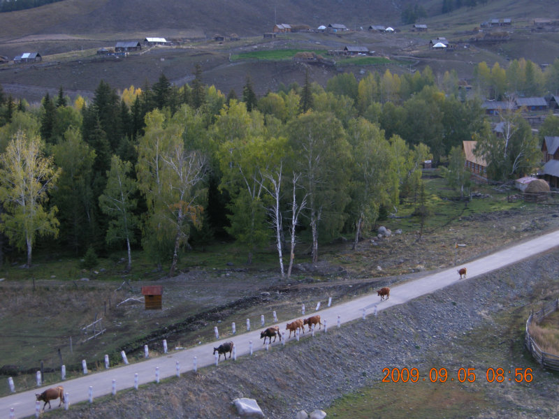 dscn2417.jpg