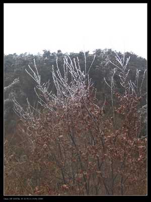 img_1165.jpg
