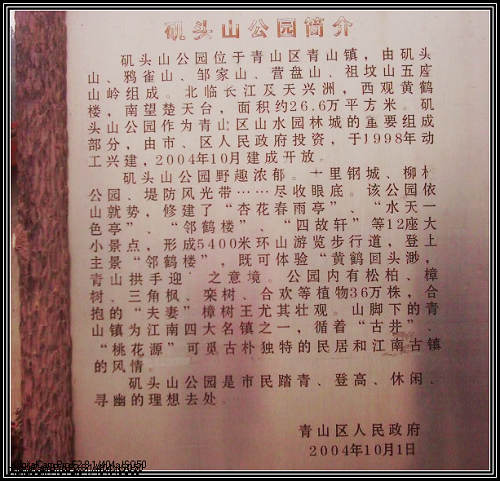 dsci0006.jpg