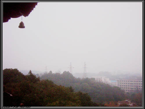 dsci0015.jpg