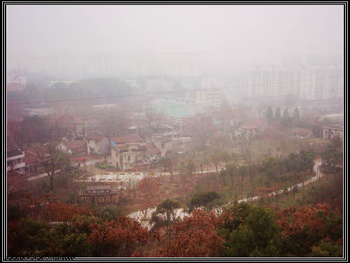 dsci0017.jpg