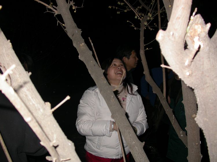 dscn7106.jpg