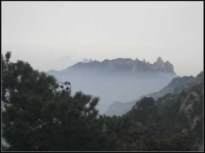 img_1255.jpg