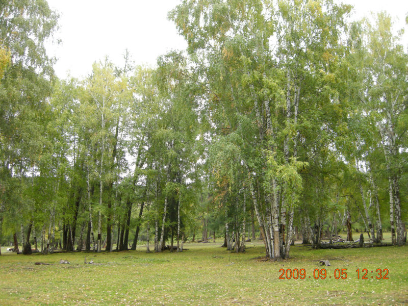 dscn2467.jpg