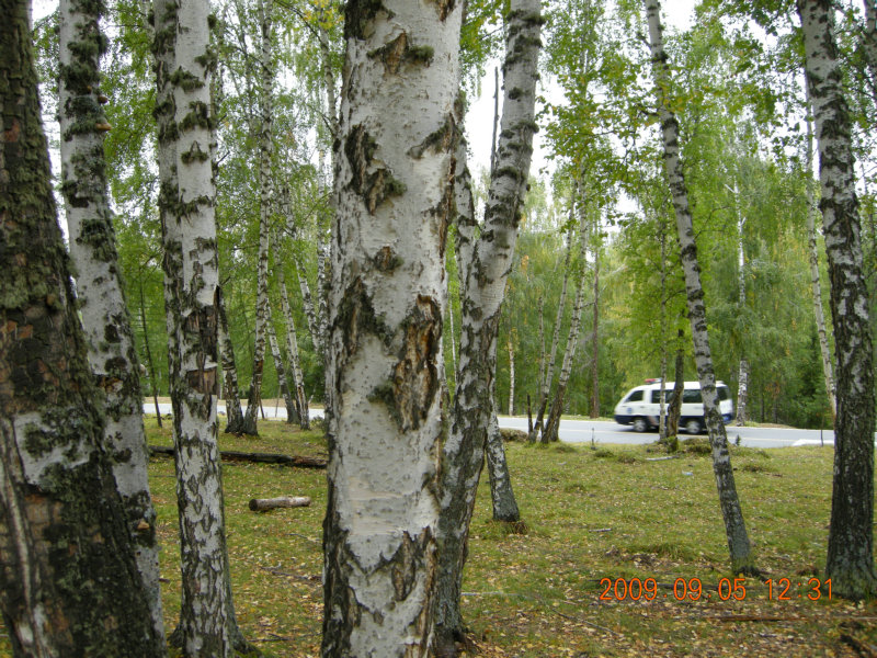 dscn2466.jpg