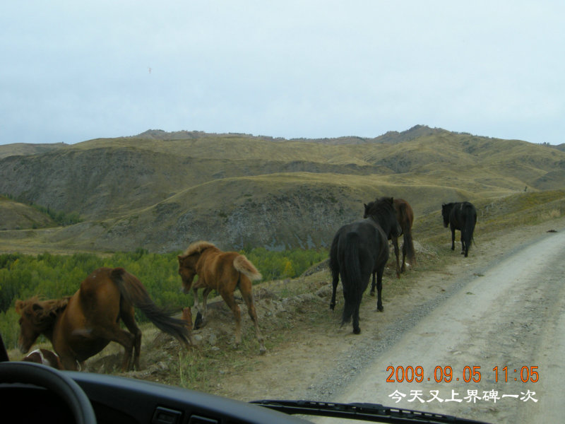 dscn2442.jpg