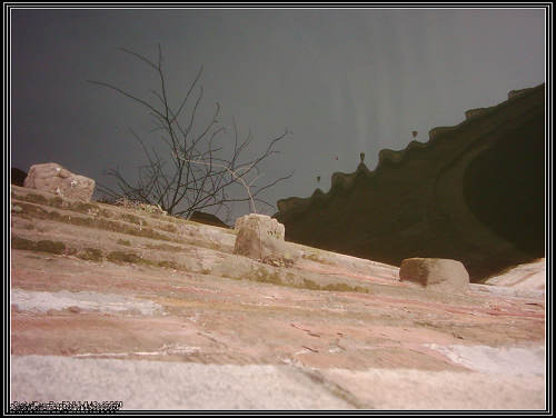 dsci0041.jpg