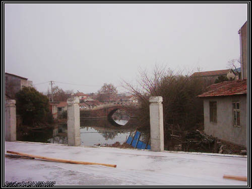 dsci0053.jpg