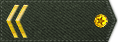 2ϵȱ.gif