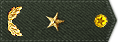 16ٽ.gif