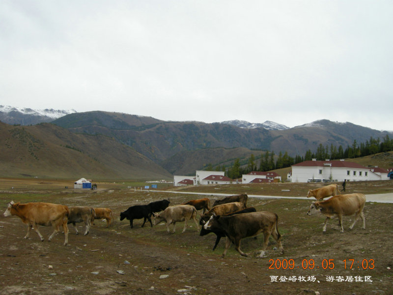 dscn2485.jpg