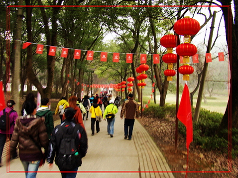 dsc05282.jpg