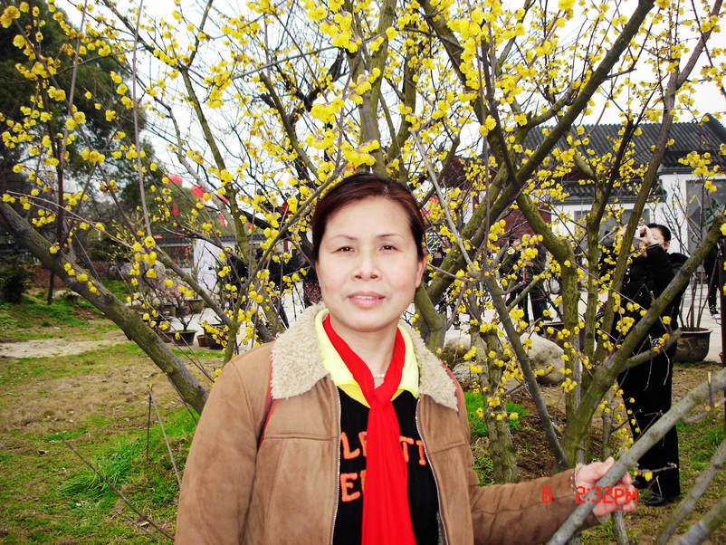 dsc00645xx.jpg