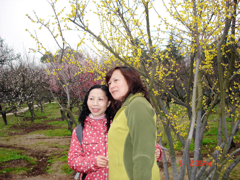 dsc00647xx.jpg