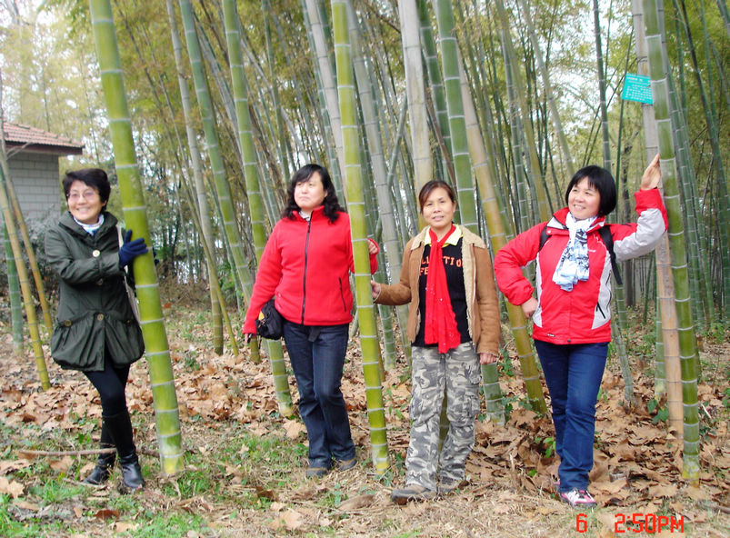 dsc00650xx.jpg