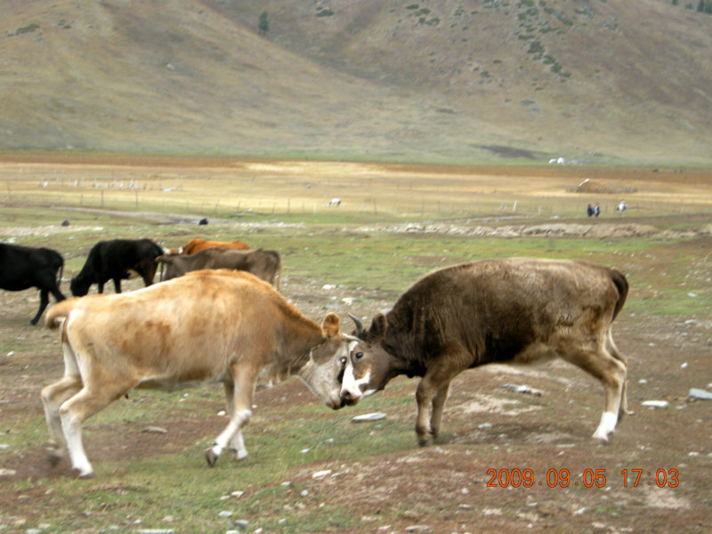 dscn2486.jpg