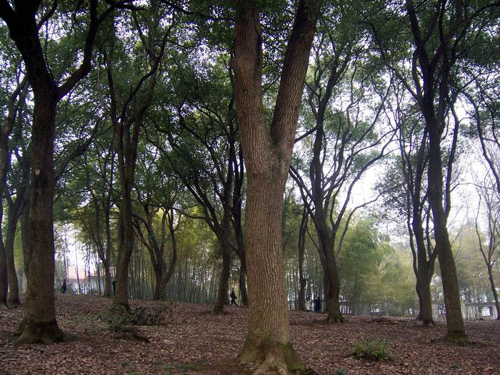 100_6055.jpg