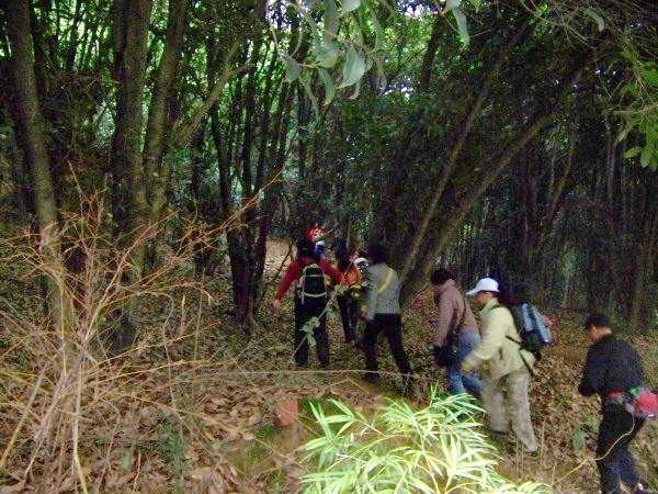 100_2006.jpg