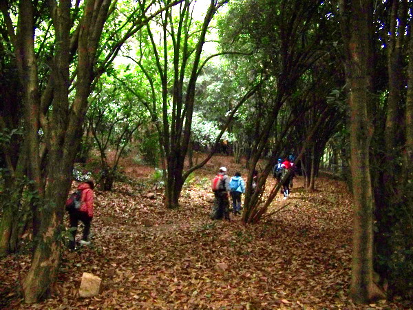 100_2012.jpg