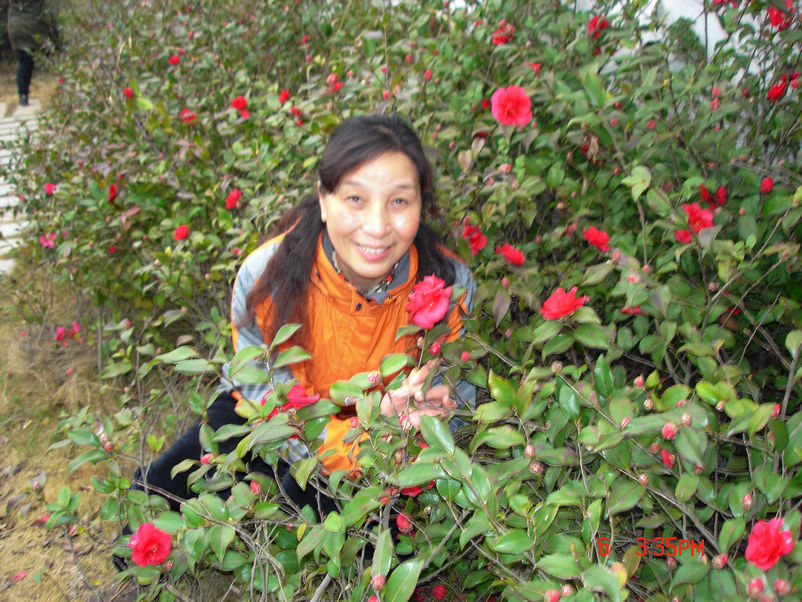 dsc00666xz.jpg
