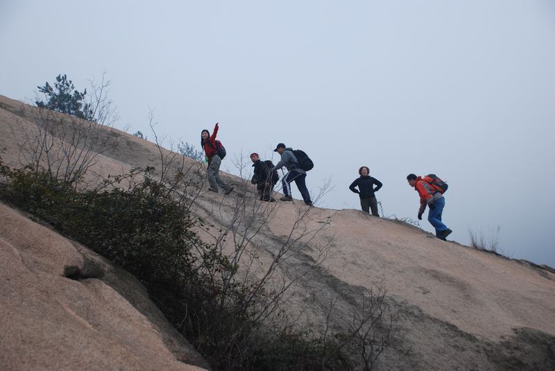 dsc_6719_neo_img.jpg