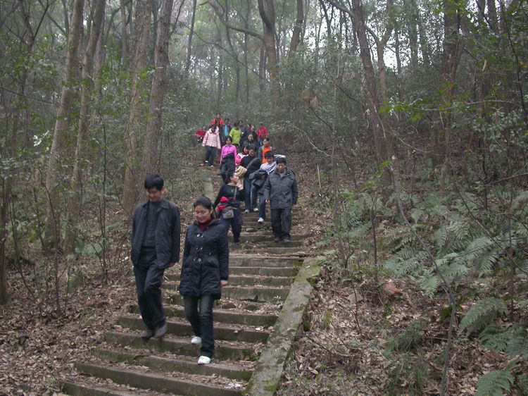 dscn7188.jpg