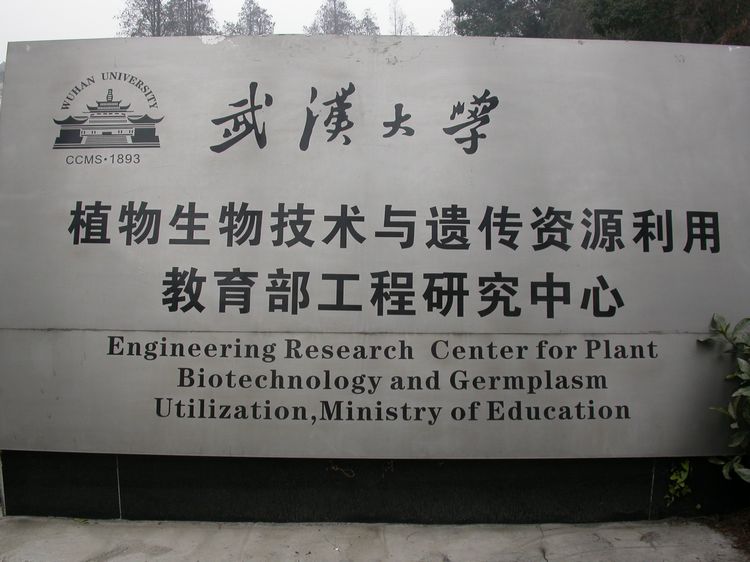dscn7198.jpg