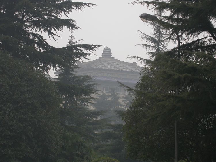 dscn7205.jpg