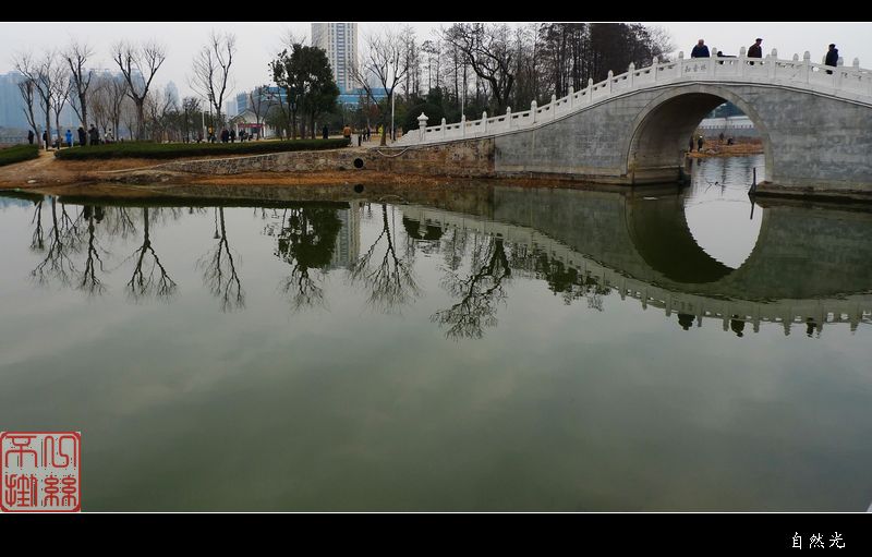 l1010550.jpg