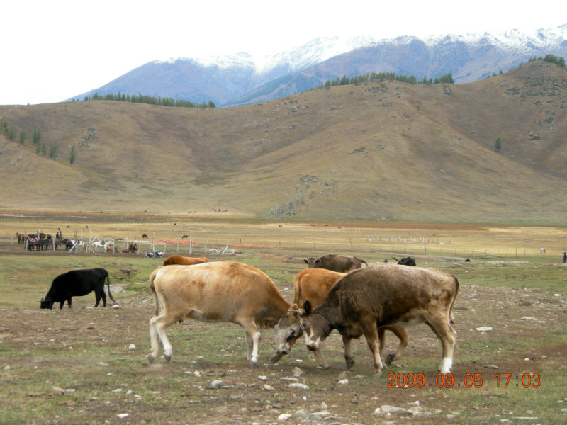 dscn2488.jpg