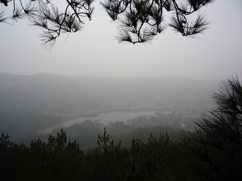 p1010553.jpg
