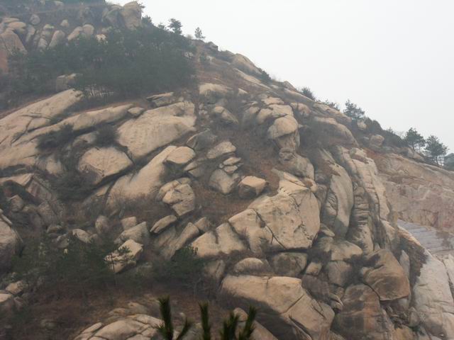 С sdc10437.jpg