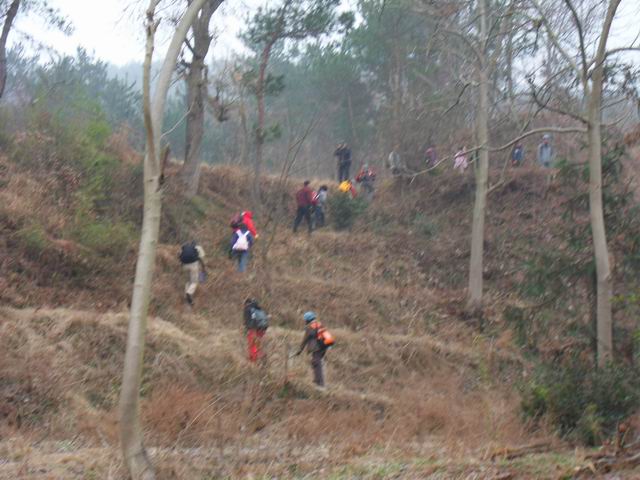 С sdc10395.jpg