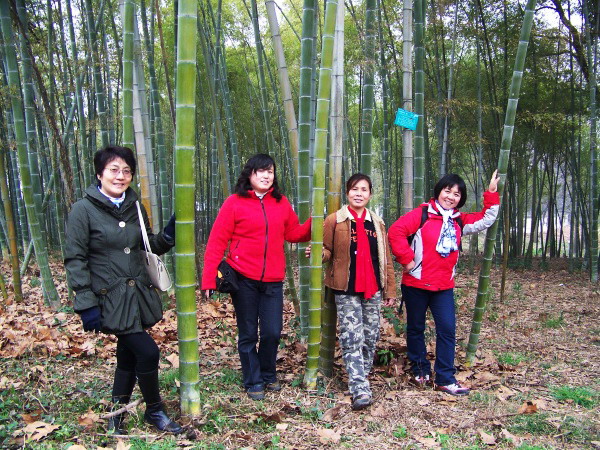100_2303.jpg