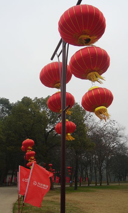 dsc09370.jpg