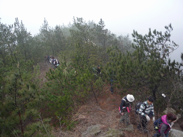 p1010555.jpg
