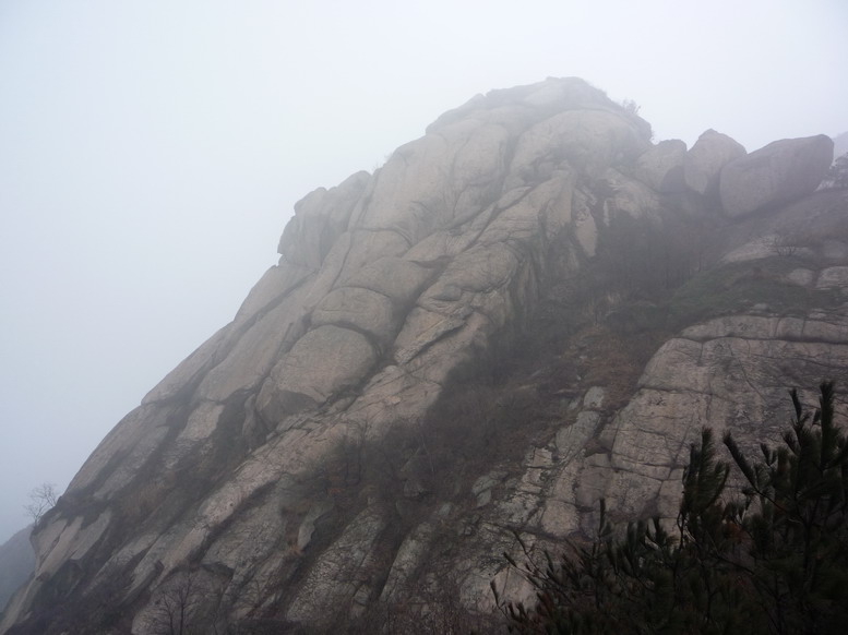 p1010556.jpg