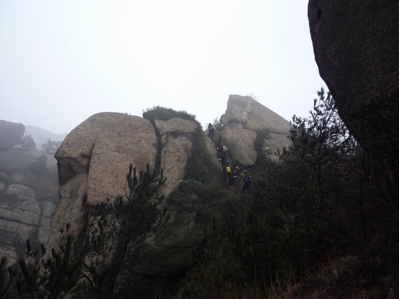 p1010557.jpg