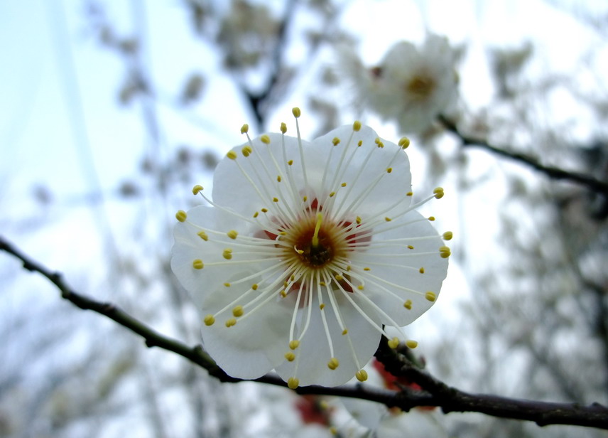 dscf1543.jpg